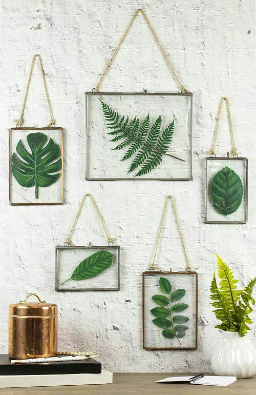 alt="plantas emolduradas"
