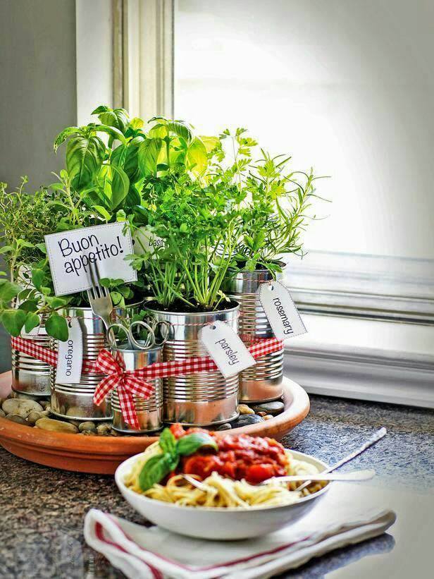 alt="plantas cozinha"